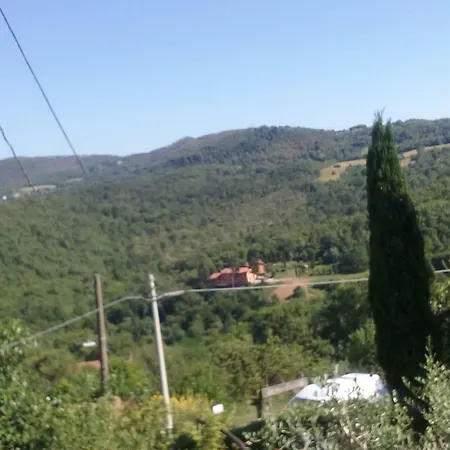 Bed & Breakfast Latera *