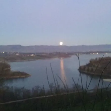 Latera *